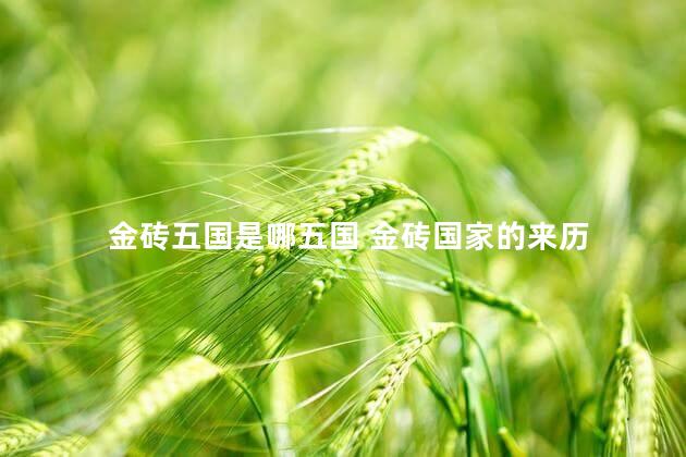 金砖五国是哪五国 金砖国家的来历